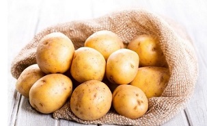Use of potato in the treatment of varicose veins